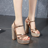 The Sky High Night Club Women's Shoes Spring New Ultra-High Heel Waterproof Champagne-Colored Lady Coarse Heel Sandals High Quality Shoes