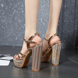 The Sky High Night Club Women's Shoes Spring New Ultra-High Heel Waterproof Champagne-Colored Lady Coarse Heel Sandals High Quality Shoes