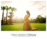 And Winter 2025 Women's Gold Velvet Pregnant Woman V-Necked Tail Dress Photo Dress 1937 Maternity