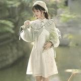 Design Bamboo Chinese Style Retro Daily Hanfu Women's Coat Dress Two-Piece 6632