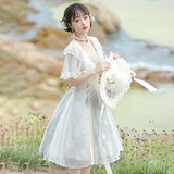 Design Qinghe Hanfu Female Chinese Style Improvement Daily Chinese Elements Two-Piece Set 8647