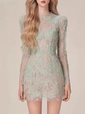 And Summer Lace Dress Long-Sleeved Three-Dimensional Petals Curry Short Skirt