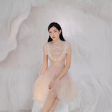2025 Champagne Dress Butterfly Embroidered Net Velvet Short Skirt Princess Dress