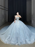 Ball Gown Strapless Neckline Sequin Light Sky Blue Long Wedding Dresses Brides Dress SD1656 HZ0628