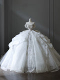 Ball Gown Off The Shoulder Neckline Tulle Sequin Wedding Dresses Bridal Dress SD2476 HZ0628