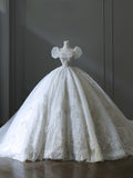 Ball Gown Off The Shoulder Short Sleeves Tulle Sequin Wedding Dresses Bridal Dress SD2480 HZ0628