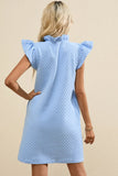 V-Neck Cap Sleeve Mini Dress DJPT