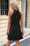 Grecian Neck Tie Waist Mini Dress DJPT