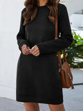 Lane Round Neck Long Sleeve Mini Dress with Pockets DJPT